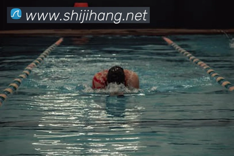 买球官方服务体系